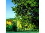 Bed & Breakfast Le Cascatelle