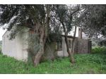 Cascina/Casale in vendita a Ragusa, Cupoletti