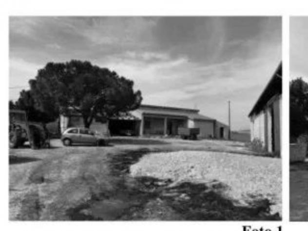 Immobile in asta di 1413 m² in vendita a Monreale - Foto 6