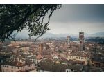 Locale comm.le/Fondo in vendita a Lucca 40 mq  Rif: 1451717