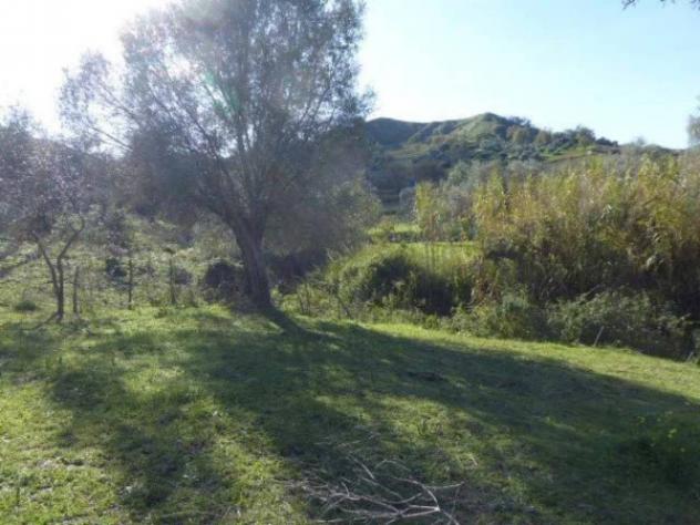 Immobile in asta di 6430 m² in vendita a Casignana - Foto 4