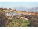 Terreno di 61370 mq  in vendita a Paupisi - Rif. 4553032