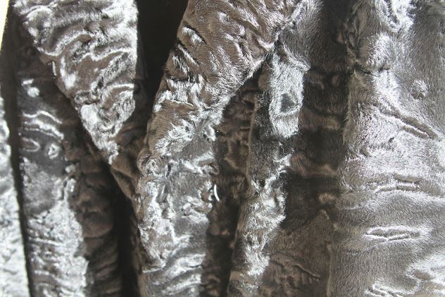 pelliccia astracan