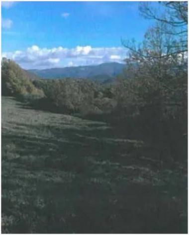 Immobile in asta di 209 m² in vendita a Spoleto - Foto 4