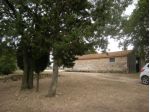 AZIENDA AGRICOLA di 140 mq (MANCIANO) rif. SESTO