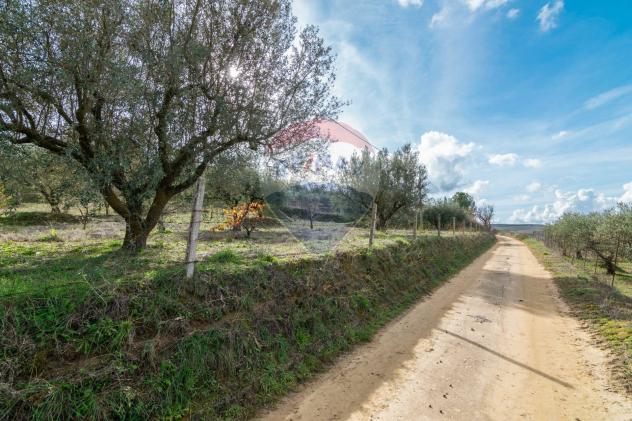 Terreno in vendita a Piazza Armerina - Foto 2