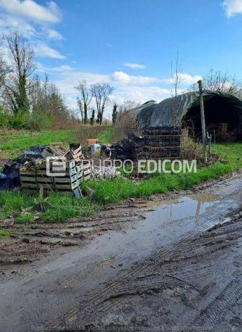 Fabbricati per attività agricole di 323 mq in vendita a Riese Pio X - Rif. 4554415 - Foto 6