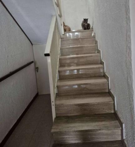 Immobile in asta di 97 m² in vendita a Monteodorisio - Foto 10