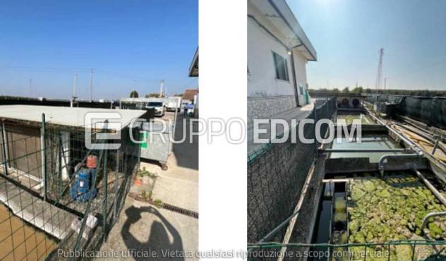 Laboratori per arti e mestieri in vendita a Zevio - Rif. 4562984 - Foto 5