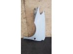 PARAFANGO ANTERIORE SINISTRO RENAULT Scenic Serie (9903)