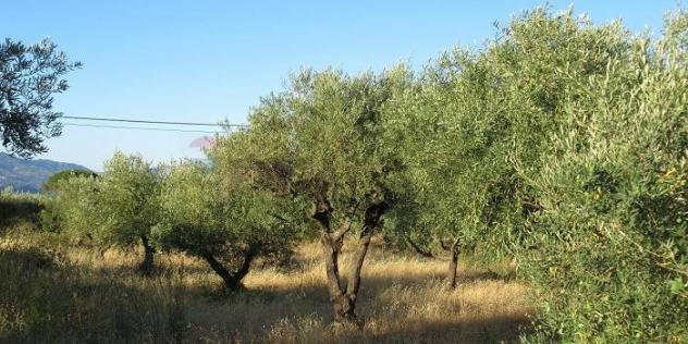 Terreno in vendita a Melilli, Villasmundo - Foto 5