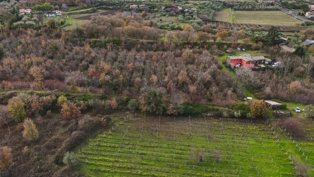 Terreno Edificabile in vendita a Randazzo, Montelaguardia - Foto 6