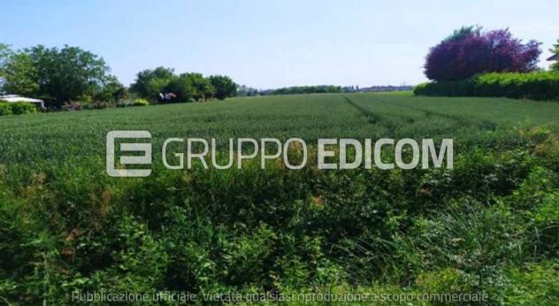Terreno in vendita a San Donà di Piave - Rif. 4550103