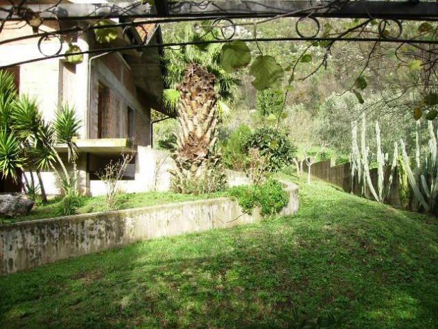 Pietravairano vendesi casa indipendente 12 vani 300 Mq - Foto 3