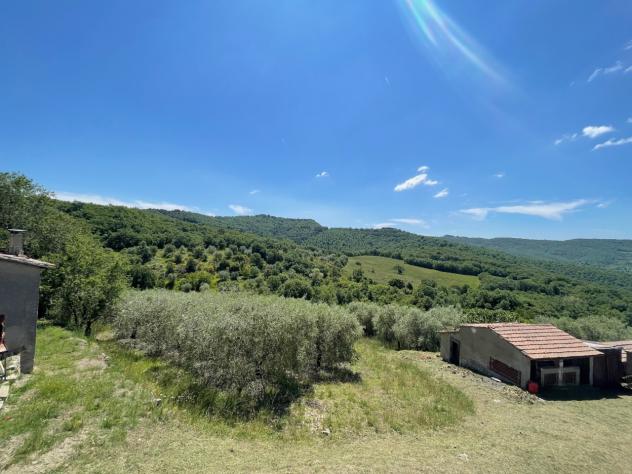 Agricolo in vendita a Piegaro - Foto 4