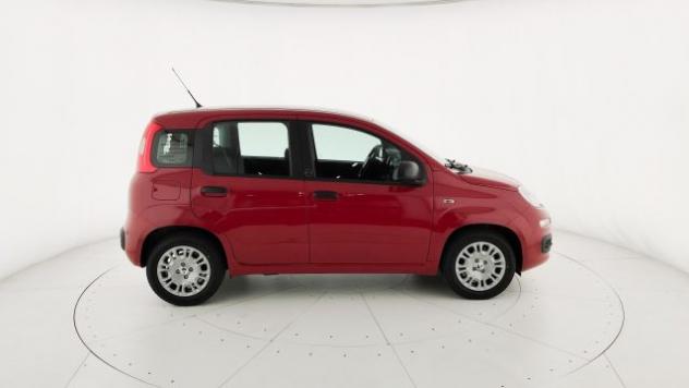 FIAT Pandina 1.0 FireFly 65 CV Hybrid Pop rif. 24152436 - Foto 8
