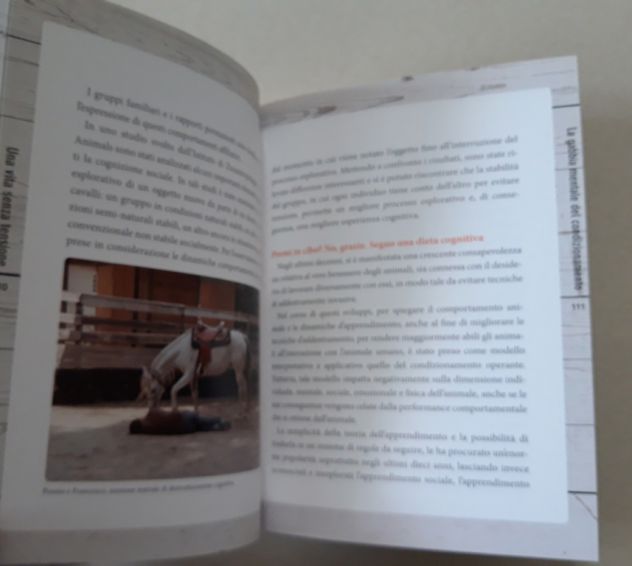 Comprendere il cavallo - Foto 8