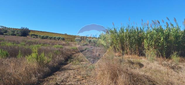 Terreno in vendita a Noto - Foto 8
