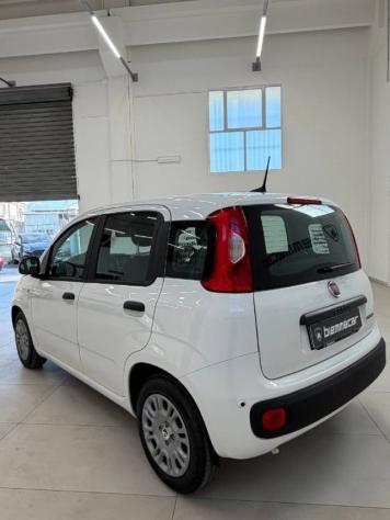 FIAT Panda 1.0 FireFly S&S Hybrid Pandina rif. 23914254 - Foto 4