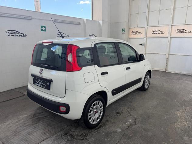 FIAT Panda Panda 1.2 tua 99,00 al mese - Foto 4