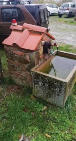 Immobile in asta di 124 m² in vendita a Cetona - Foto 9