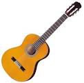 Lezioni di chitarra