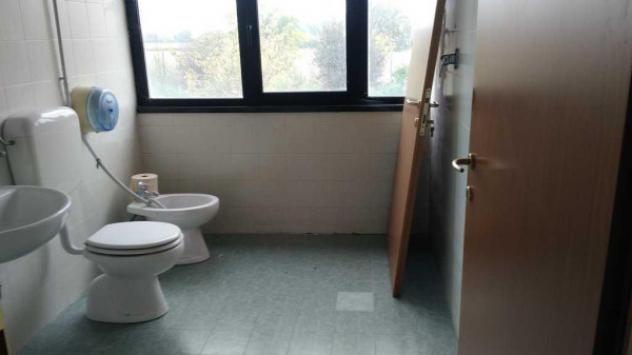 Immobile di 1500 m² in vendita a Novi di Modena - Foto 5