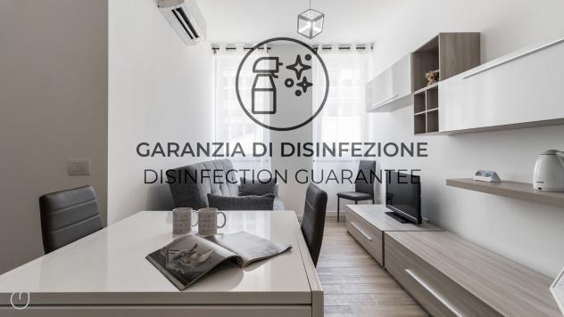 Savona 146