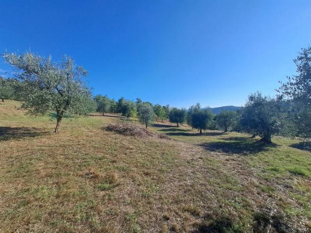 Valdambra - Annesso in Muratura con Terreno e Uliveto - Rif. C10 - Foto 12
