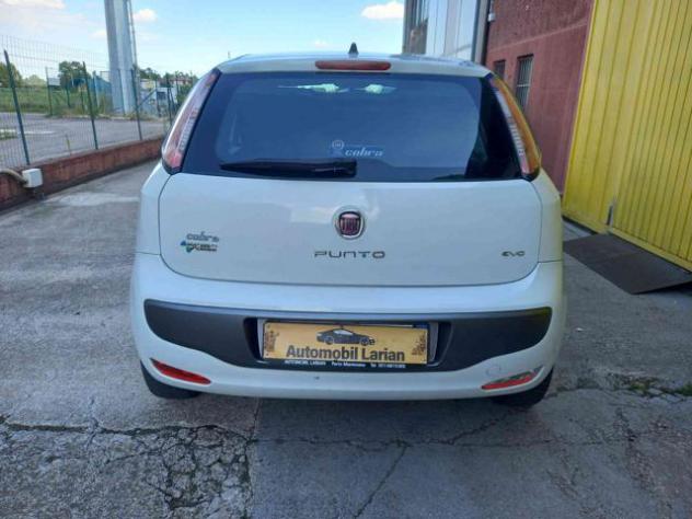 FIAT Punto Evo 1.4 5 porte Emotion Natural Power ok neopatentati rif. 23816241 - Foto 6