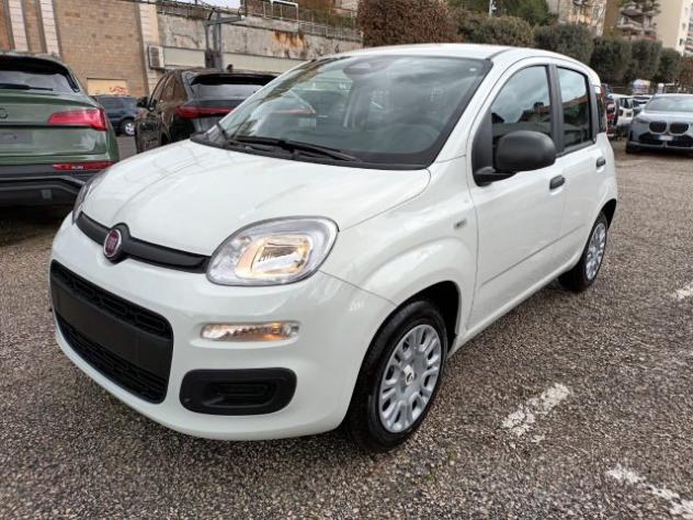 FIAT Panda 1000 HYBRID PANDINA POP 65CV ITALIA rif. 23999454 - Foto 2