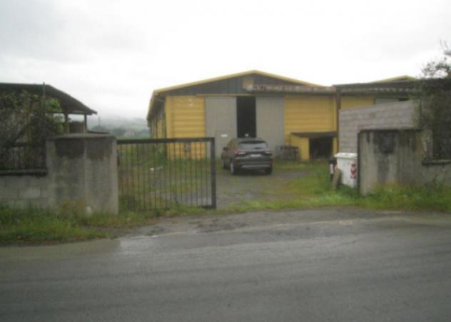 Immobile in asta di 2 m² con più di 5 locali in vendita a Acquapendente - Foto 10