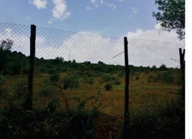 Immobile in asta di 1594609 m² in vendita a Arcidosso - Foto 4