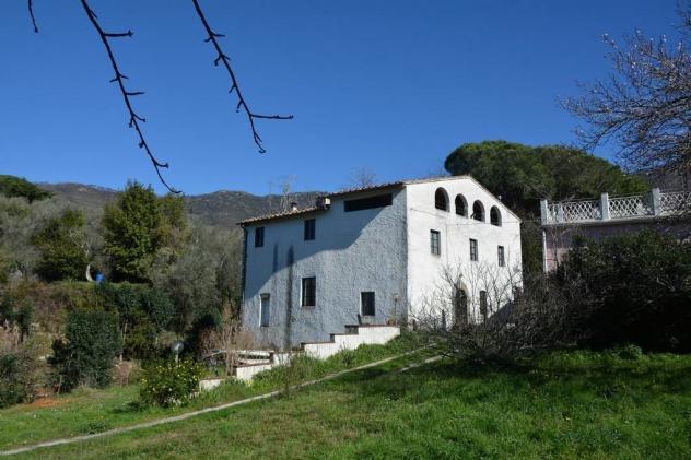 Vendita Rustico casale da 400 mq con giardino