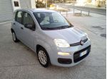 FIAT PANDA 1.2 Benzina EURO 6d x NEOPATENTATI