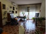 Casa singola in vendita a Pisa 320 mq  Rif: 1423750
