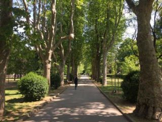 3 Stanze libere zona NoLo Grande Appartamento