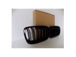 BMW X5 E70 / X6 E71 RENI / GRIGLIA DX E SX - 4119