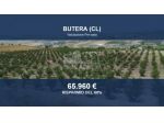 Immobile in asta di 115326 m² in vendita a Butera