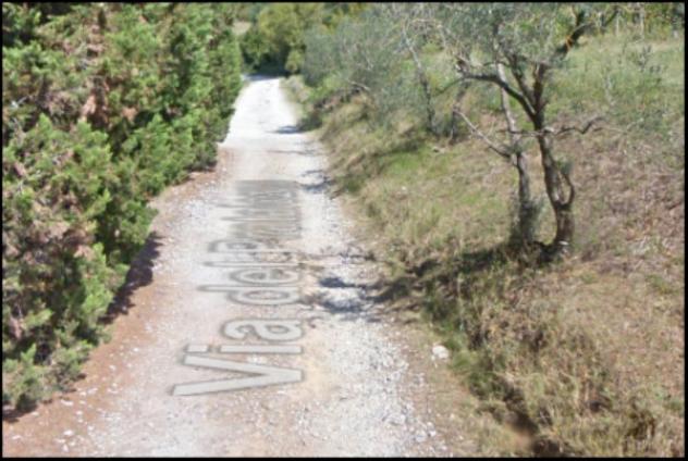 Immobile in asta di 9170 m² in vendita a Pescia - Foto 3