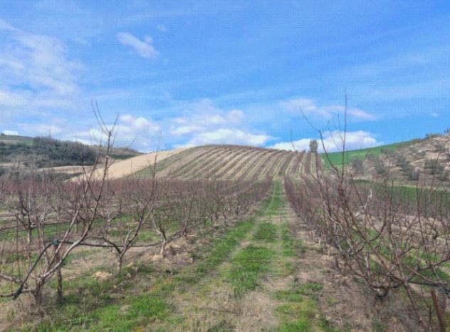 Immobile in asta di 4 m² in vendita a Altomonte - Foto 9