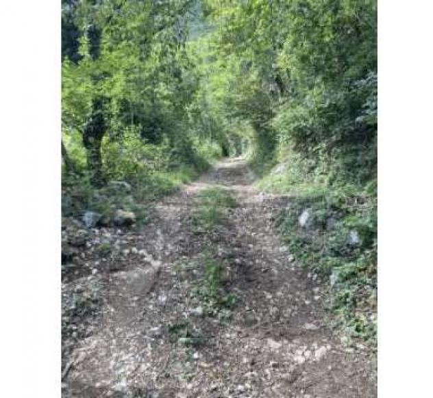 206/2025 2 BS - Terreni in asta in zona collinare a Botticino - Foto 12