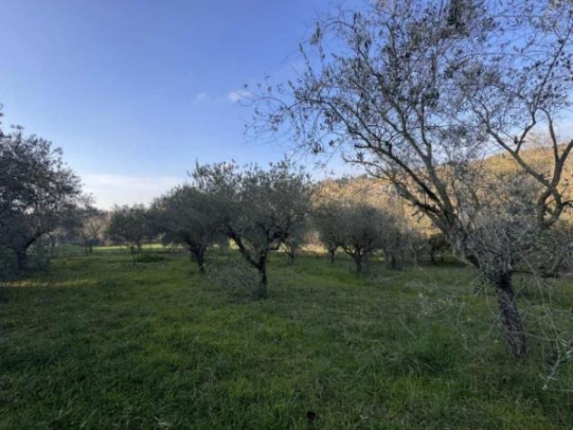 Immobile in asta di 4660 m² in vendita a Corropoli - Foto 2