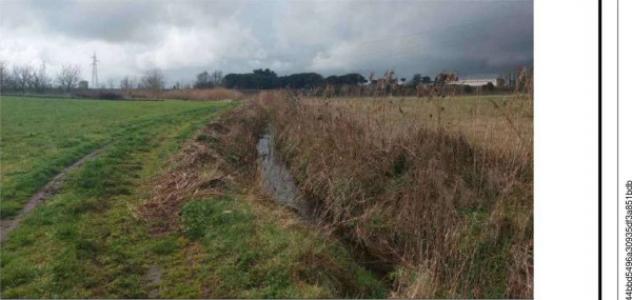 Immobile in asta di 30045 m² in vendita a Viterbo - Foto 10