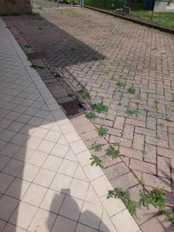 Appartamento in vendita a Castelfranco di Sotto 120 mq Rif: 1326193 - Foto 2