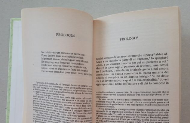 TERENZIO - Il punitore di se stesso - Foto 7