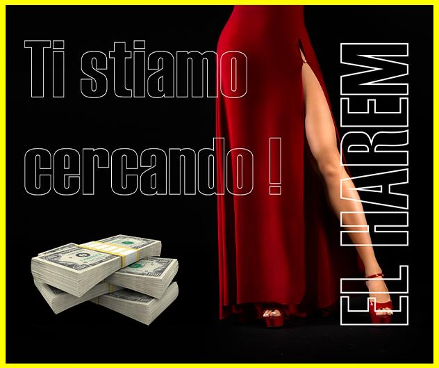 Vuoi guadagnare di più e vivere la tua vita? Noi ti offriamo la possibilità! - Foto 2
