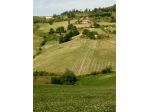 Poggio con Casale e 16 Ettari di Terreno Agricolo