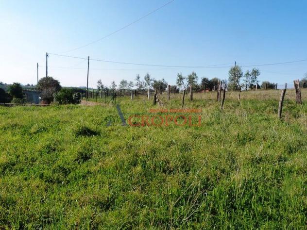 Terreno Edificabile - Rif. 2489 - Foto 9