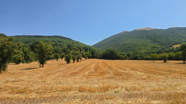 Magazzino in vendita a Nocera Umbra - Foto 2